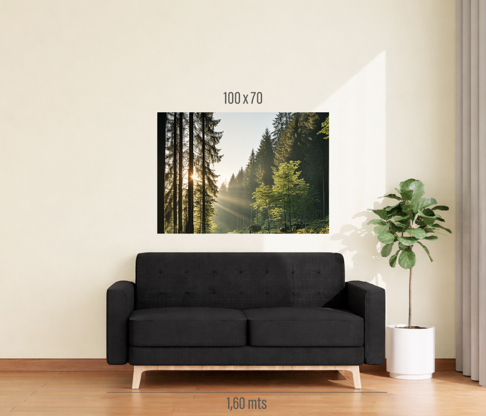 Cuadro 1 pieza 100x70